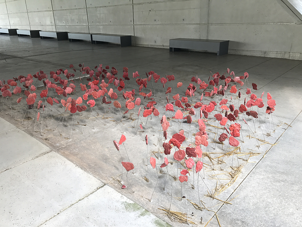 Artistic display with "poppies" at  the  Museé de la Grande Guerre de Meaux 